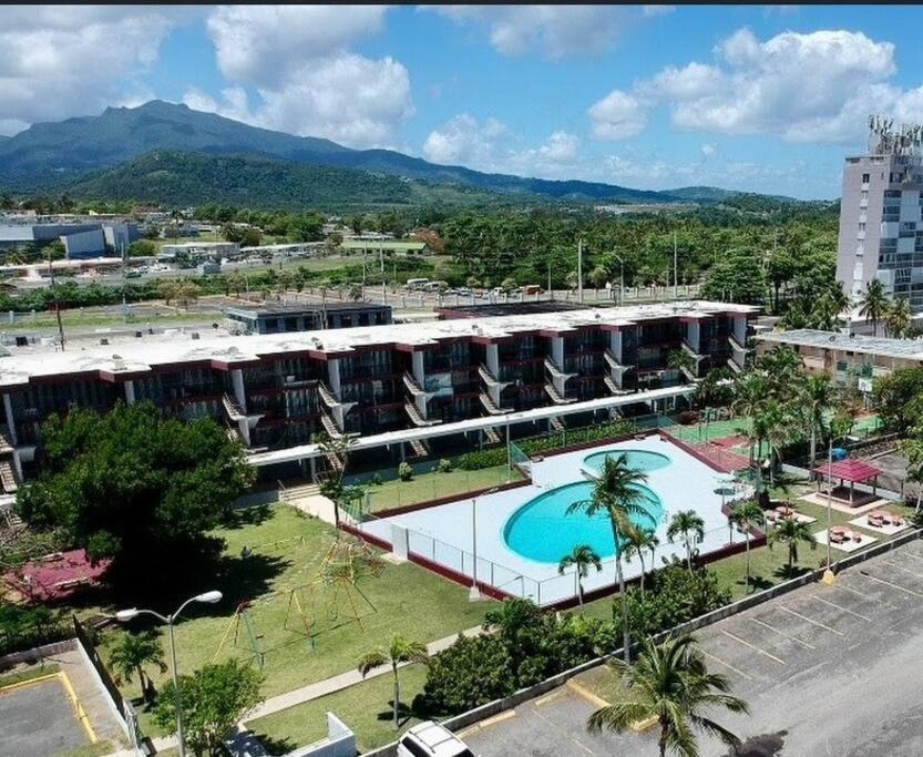 לוקווילו Relaxing Studio Near El Yunque With Pool View מראה חיצוני תמונה